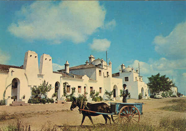 V3 - SERPA - Portugal  Bairro Oper�rio -  Ed. C�MER Lisboa Foto Favinha, Serpa - SD - Dim. 15x10,6 cm - Col. Manuel B�ia