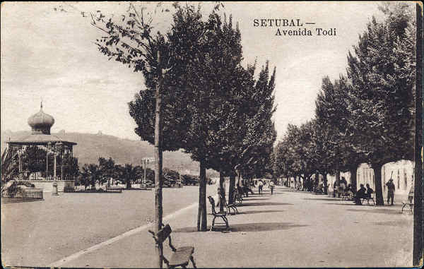 SN - SETUBAL. Avenida Todi - Edi��o Alberto Malva, Lisboa - Dim. 13,8x8,7 cm - Col. A. Monge da Silva (c. 1925)