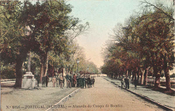 N� 1046 - Alameda do Campo de Bomfim - Editor desc. - Dim. 140x90 mm - Col. A. Monge da Silva (anterior a 1910)