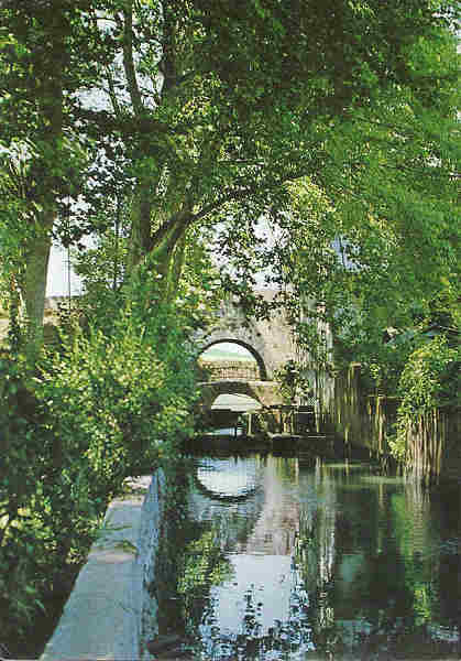 N� 6 - Soure. Rio Or�o - Ed. Papelaria Armindo - Foto F. Rocha (1983) - Dim. 10,5x15 cm. - Col. Silva Rocha