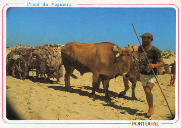 N.� 44 - PRAIA DA VAGUEIRA Transporte das redes tradicionais - Ed. �ncora - SD - Dim. 15x10,5cm. - Col. M�rio Silva.