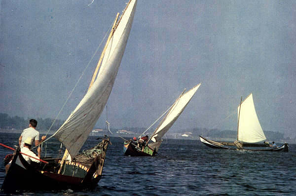 SN - Ria de Aveiro - Edi��o Extrusal (Impresso na Gr�fica do Vouga) - SD - 100x149 mm - Col. �nio Semedo