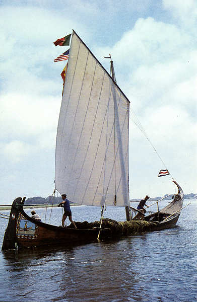 SN - Ria de Aveiro - Edi��o Extrusal (Impresso na Gr�fica do Vouga) - SD - 100x149 mm - Col. �nio Semedo