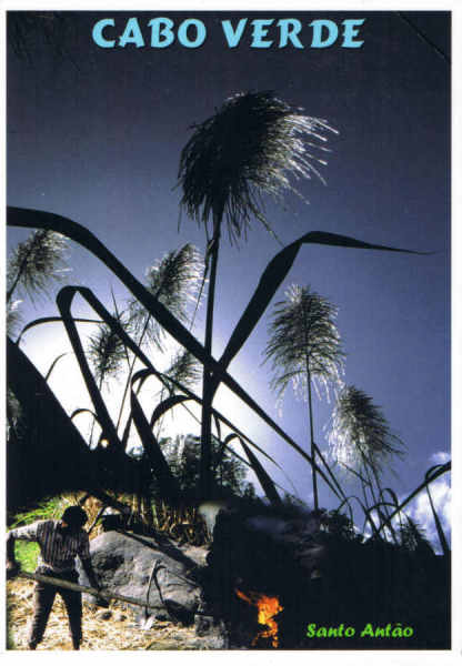 CV 29 - Santo Ant�o - Ed. Mindelo C.P.999 - CABO VERDE - www.caboverde-photo.com Reinhard Meyer - SD - Dim. 10,5x14,8 cm - Col. Manuel B�ia (2011)