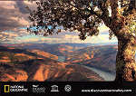 SN - Douro Valley, Portugal - Concurso de Fotografia do Douro 2010 - Manuel Prates - Ed. Postalfree - Dim. 148x105 mm - Col. �nio Semedo