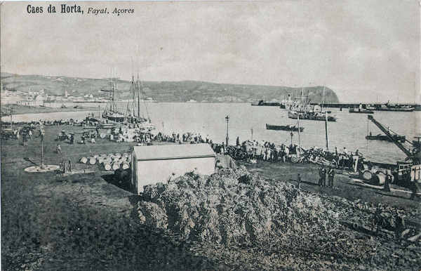 SN - Caes da Horta - Registado "J.Goulart", Fayal, A�ores (Em carimbo branco) - Dim. 140x90 mm - Col. A. Monge da Silva (c. 1910)