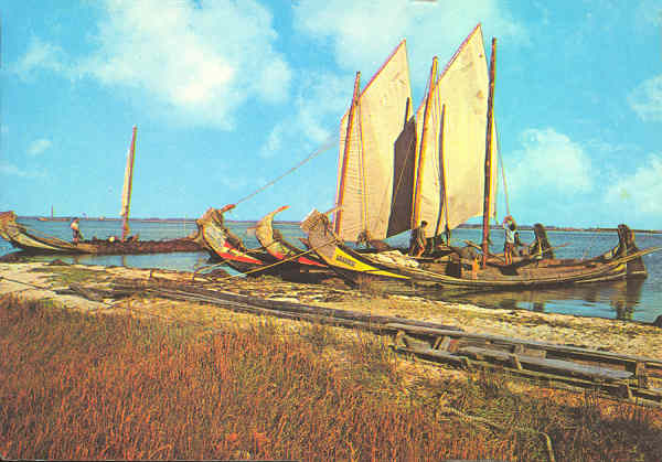N� 272 - Ria de Aveiro. Portugal. Barcos Moliceiros na Murtosa - Ed. Centro de Caridade "N� Sr� do Perp�tuo Socorro", Porto - SD - Dim. 102x147 mm - Col. Gra�a Maia