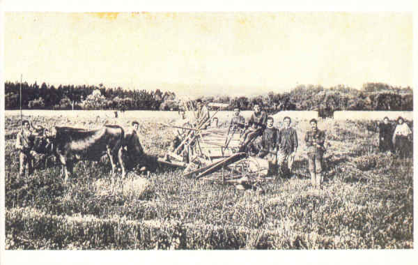 N.� 11 - Escola Nacional Agr�cola - COIMBRA - Ed. An�nima (cerca de 2012) - Dim. 140x90 mm - Col. �nio Semedo