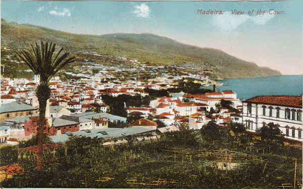 N� 108 - Funchal, View ot the Town - Editor B.P., redi��o de 1907 - Dim. 140x93 mm - Usado em 24MAI1925 - Col. A. Monge da Silva