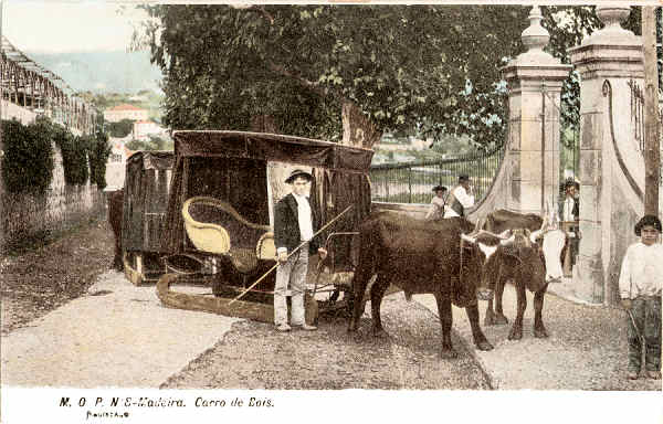 N.� 8 - Carro de Bois (1) - Editor M.P.O. - Dim. 140x93 mm - Col. A. Monge da Silva (c.1907)