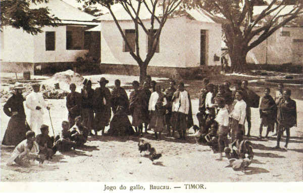 SN - Jogo do gallo, Baucau - Timor - Edi��o L.Geisler -  SD - Dim. ??x?? cm - Col. Monge da Silva (Cerca de 1910)