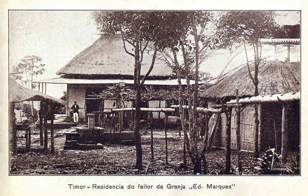 SN - Timor - Resid�ncia do feitor da Granja "Eduardo Marques" - Edi��o da Circunscri��o Civil de Liqui�� -  SD - Dim. ??x?? cm - Col. Monge da Silva (Cerca de 1925)