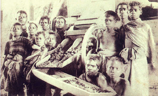 SN - Timor - Despolpando o caf� - Edi��o da Miss�o - SD - Dim. ??x?? cm - Col. Monge da Silva (Cerca de 1927)