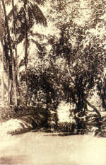 SN - Timor Portugu�s - Coil�o, Dili - Edi��o da Miss�o - SD - Dim. ??x?? cm - Col. Monge da Silva (Cerca de 1927)