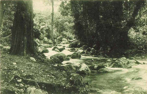 SN - Timor Portugu�s - Trecho de uma ribeira no interior - Edi��o da Miss�o - SD - Dim. ??x?? cm - Col. Monge da Silva (Cerca de 1927)