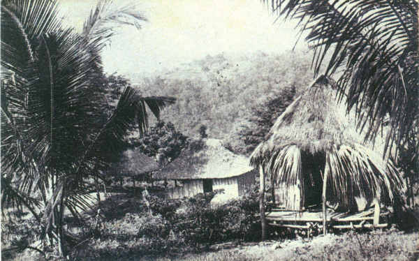 SN - Timor Portugu�s - Habita��es ind�genas - Edi��o da Miss�o - SD - Dim. ??x?? cm - Col. Monge da Silva (Cerca de 1927)