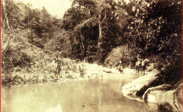 N� 051310 - Timor Portugu�s - Trecho de uma ribeira (interior) - Edi��o da Miss�o - SD - Dim. ??x?? cm - Col. Monge da Silva (Cerca de 1927)