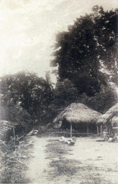 SN - Timor Portugu�s - Uma paisagem do interior - Edi��o da Miss�o - SD - Dim. ??x?? cm - Col. Monge da Silva (Cerca de 1927)