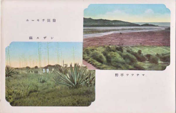 SN - Timor durante a ocupa��o japonesa. Manatuto e a cultura do sisal - Edi��o ??? - SD - Dim. ??x?? cm - Col. Monge da Silva (1943)