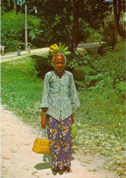 SN - Regresso do Bazar em Baucau - Foto Quelhas Lima - Edi��o do MNF de Timor - SD - Dim. ??x?? cm - Col. A. Monge da Silva  (cerca de 1970)