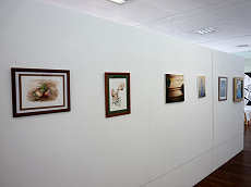 Clicar para ampliar.