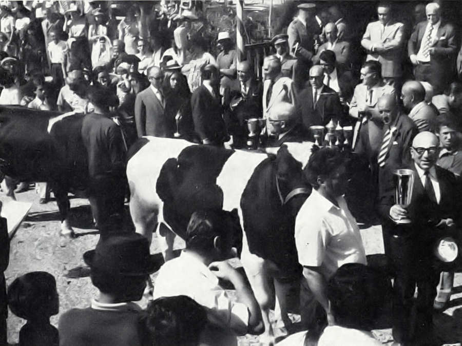 Clicar para ampliar.