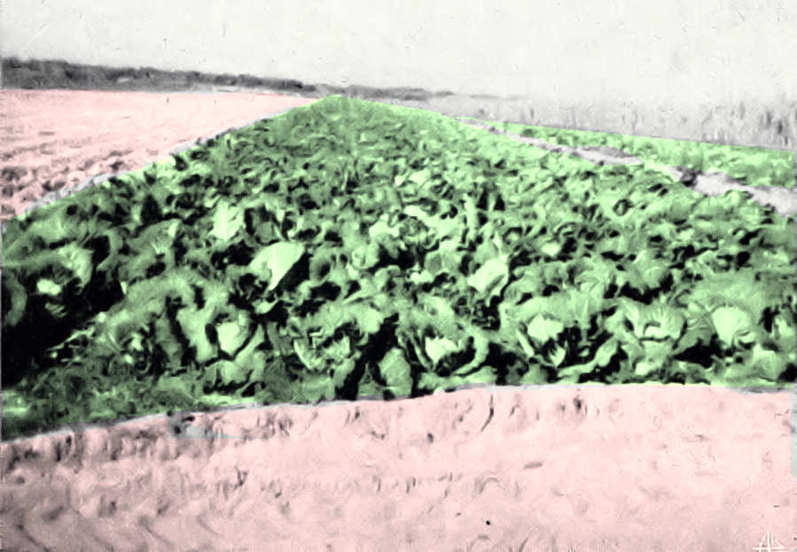 Clicar para ampliar.