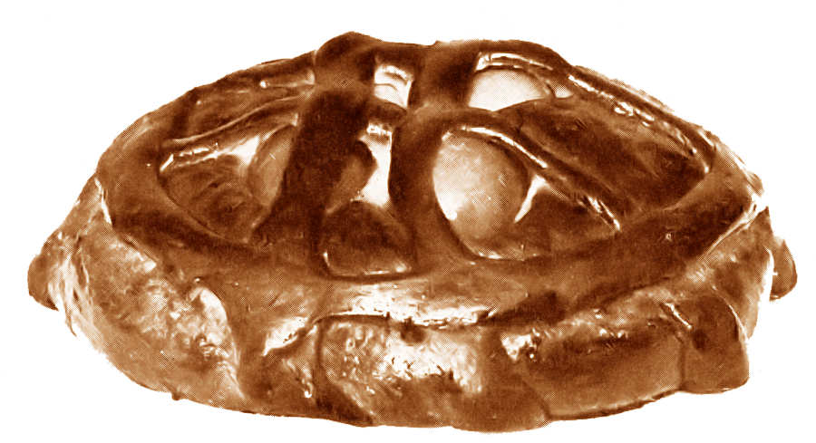 Clicar para ampliar.