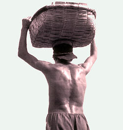 Foto Joaquim F�lix.