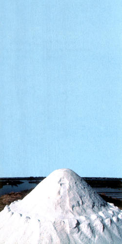 Foto de Mário Marnoto