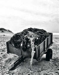 Clicar para ampliar.