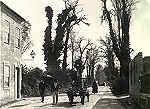 Aveiro antigo foto 9x12 FMSarmento