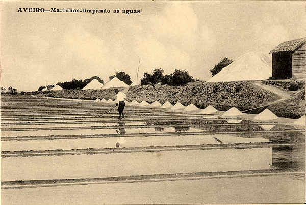 S/N - Aveiro Marinhas Limpando as aguas - Editor n�o indicado - SD - Dimens�es 13,1x8,8 cm. - Col.  FMSarmento.