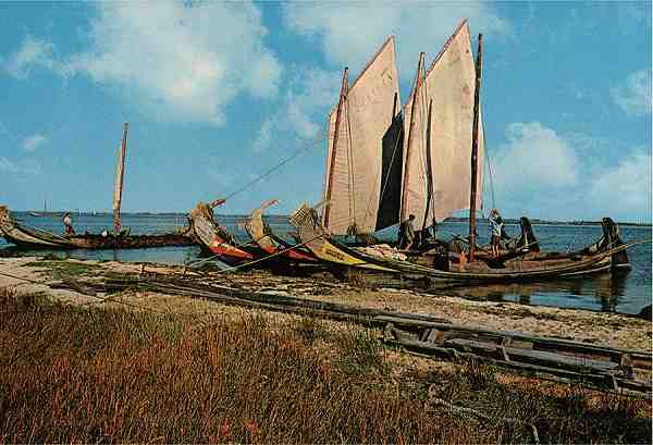 Ed. do Centro de Caridade �N� Sr� Perp�tuo Socorro�, n.� 272 - S/D - Dimens�es: 14,8x10,3 cm. - Col. HJCO