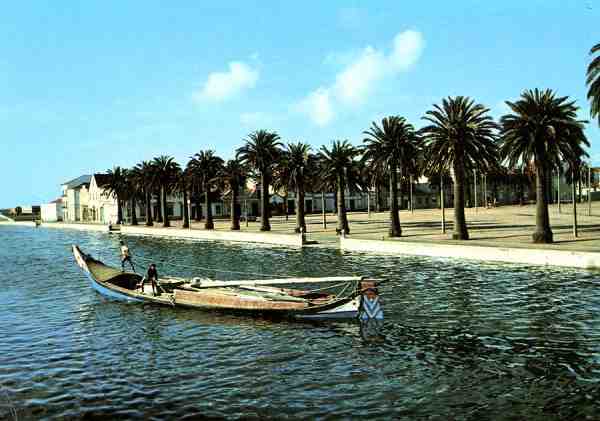 N.� 340 - Coleccion Perla - S/D - Dimens�es: 14,8x10,4 cm. - Col. M. F. Silva.