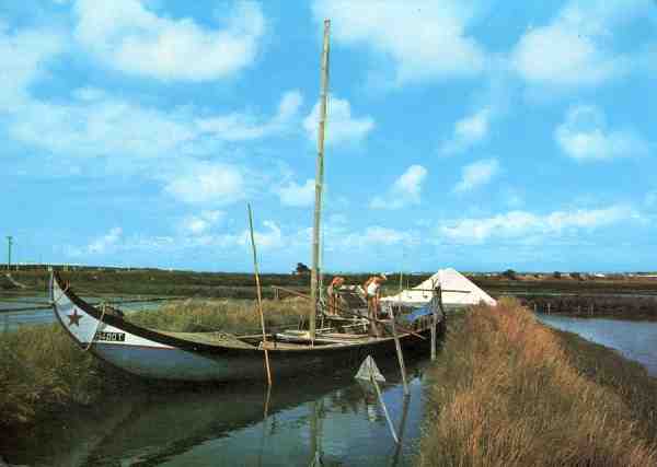 N.� 345 - Coleccion Perla - S/D - Dimens�es: 14,8x10,4 cm. - Col. M. F. Silva.