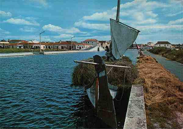 N.� 732 - Aveiro: Barco moliceiro - Edi��o G�tica - Porto - Rua N� Sr� de F�tima, 298 - Tel. 66347 - Dimens�es: 14,6x10,3 cm. - Circulado em 1976 - Col. HJCO
