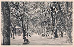 S/N - Caldas da Rainha-Portugal Parque Rua Central - Editor Fernando Daniel de Sousa - Editado em 1927 - Dimens�es: 14x9 cm. - Col. Miguel Chaby