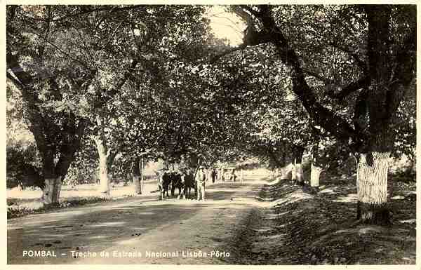 S/N - Pombal-Trecho da Estrada Nacional Lisb�a-P�rto - Edi��o da Comiss�o de Iniciativa de Pombal - S/D - Dimens�es: 13,9x9 cm. - Col. �nio C. Semedo.