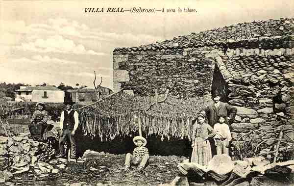 S/N - Villa Real-(Sabroso) A secca do tabaco - Edi��o da Imorensa Moderna, Villa Real - S/D - Dimens�es: 13,9x8,7 cm. - Col. Aur�lio Dinis Marta.