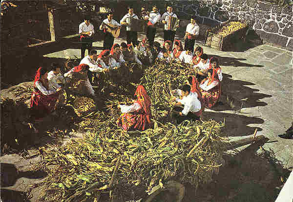 N.� 24 - MINHO PORTUGAL. Desfolhadas minhotas - Edi��o Centro de Caridade "Nossa Senhora do Perp�tuo Socorro", Porto - S/D - Dimens�es: 14,9x10,4 cm. - Col. F�tima B�ia.