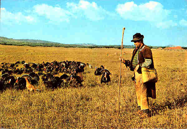 N.� 885 - ALTO ALENTEJO PORTUGAL. Guardador de perus - Edi��o Centro de Caridade "Nossa Senhora do Perp�tuo Socorro", Porto - S/D - Dimens�es: 14,9x10,4 cm. - Col. F�tima B�ia.