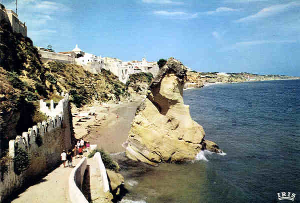 F-377 - ALBUFEIRA (Algarve) Vista parcial e Praia - Ed. IBEREX-Lisboa - S/D - Dim: 15x10,5cm - Col. Manuel e F�tima B�ia (1967).