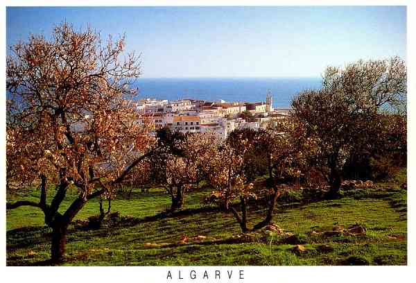 N.� 92297 - ALBUFEIRA-ALGARVE-PORTUGAL - Edi��o Vistal, 082-475109 - S/D - Dimens�es: 15x10,2 cm. - Col. Gra�a Maia