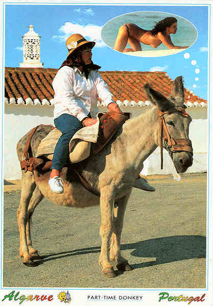 N.� 7567 - ALGARVE - Ed. Artes Gr�ficas - S/D - Dim. 15x10,5 cm - Col. M�rio Silva.