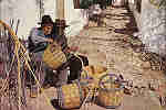 N� 555-Pr - ALGARVE. Cesteiros - Ed. OCASO - SD - Dim. 15,1x10,1 cm. - Col. Ilda Bastos.