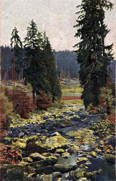 S�rie 2984/2 - Edi��o Regel & Krug, Leipzig - Dim. 13,9x8,8 cm - Col. Am�lcar Monge da Silva (cerca de 1910)