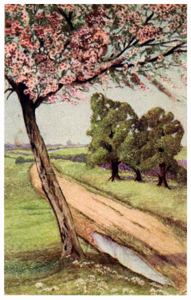 SN  - Edi��o an�nima, B�lgica - Circulado em 1951 - Dim. 13,8x8,8 cm - Col. Am�lcar Monge da Silva