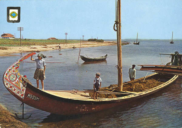 N.� 569 - PORTUGAL T�PICO Barco caracter�stico da Ria de Aveiro - Edi��es LIFER-Porto - S/D - Dimens�es: 14,9x10,5 cm. - Col. Gra�a Maia