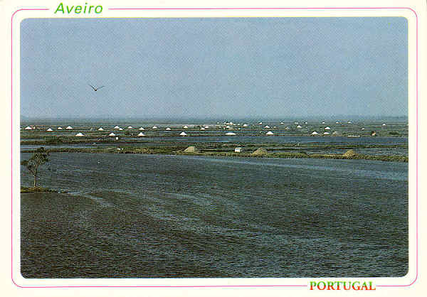 N.� 59 - AVEIRO Portugal Salinas. - Distribuidores Bruno da Rocha, Aveiro - S/D - Dimens�es: 14,9x10,5 cm. - Col. �nio Semedo.